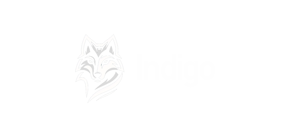 Indigo Education Mexico
